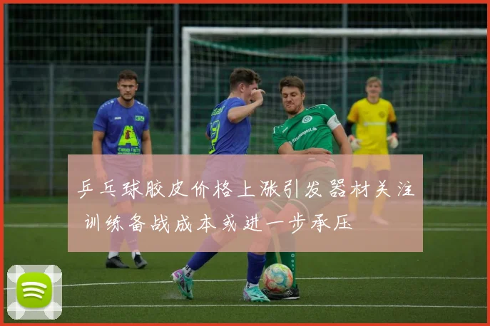 乒乓球胶皮价格上涨引发器材关注 训练备战成本或进一步承压