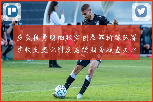 应交税费明细账实例图解析球队赛季收支变化引发后续财务核查关注