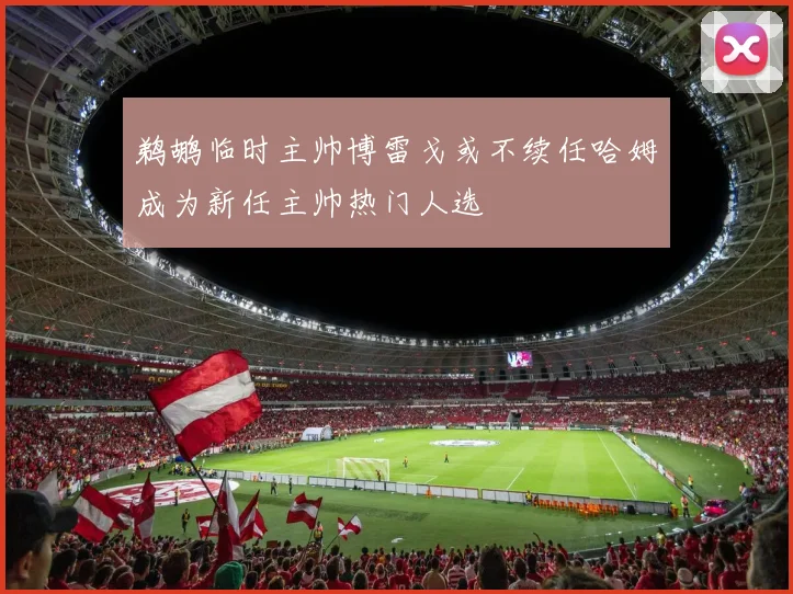 鹈鹕临时主帅博雷戈或不续任哈姆成为新任主帅热门人选