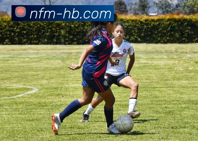 九游j9官网首页入口发展历程